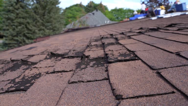 Best Roof Installation  in Grant Park, IL